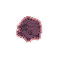Dark Glorious Shelgon